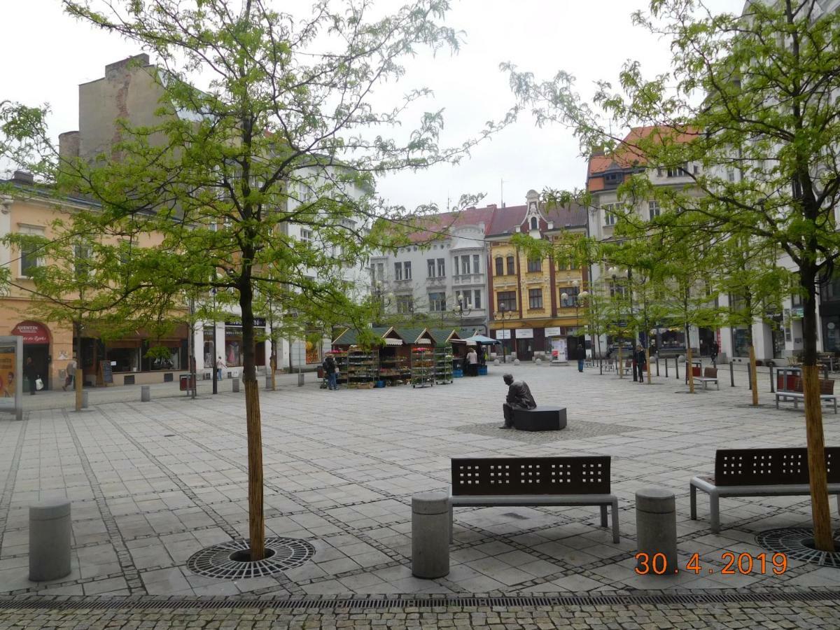 Appartamento Ama Ubytovani Ostrava Esterno foto